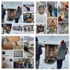 beekeeping - visiting an open-air museum
